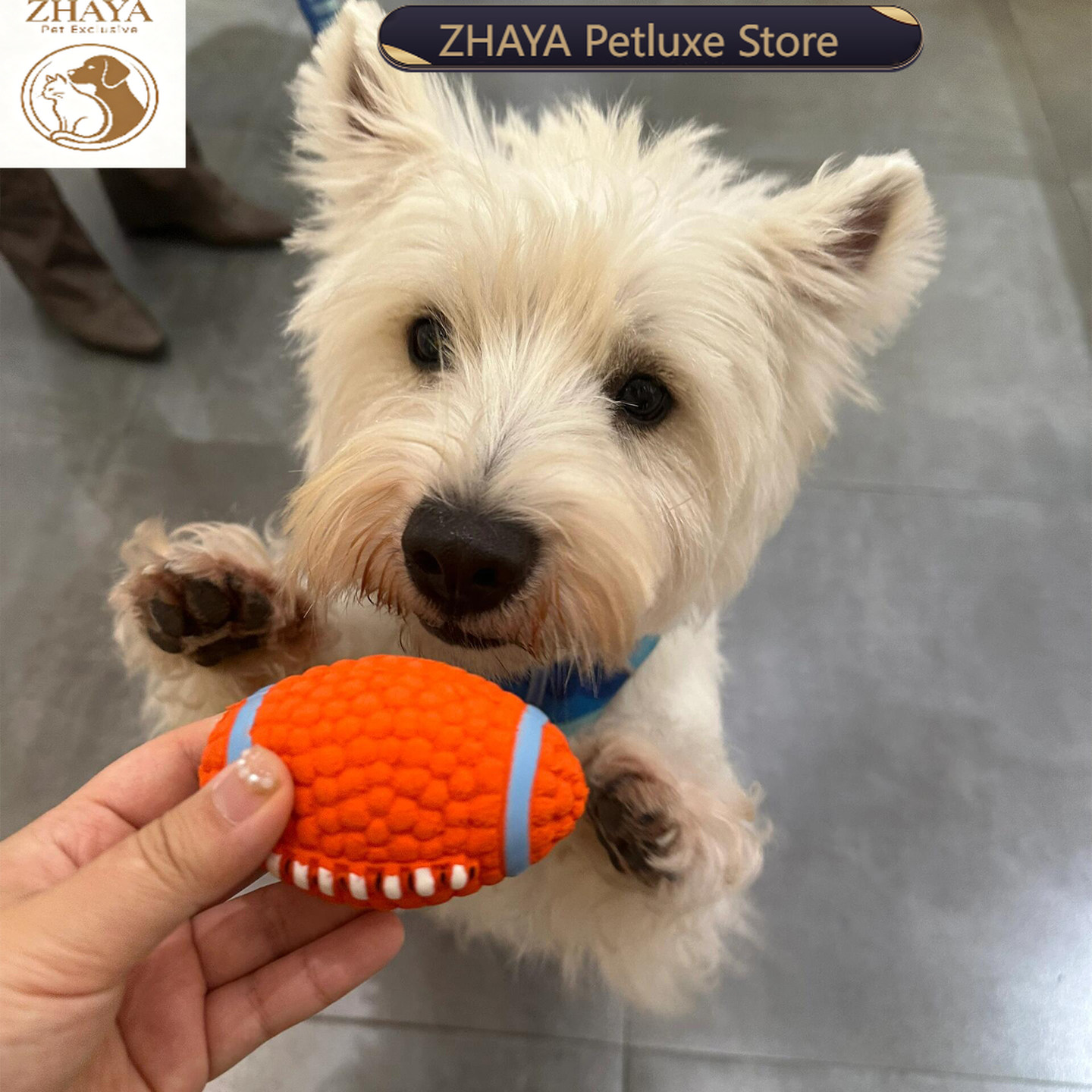 ZHAYA Pet Squeaky Interactive  - đánh giá và giá Rugby Training Ball