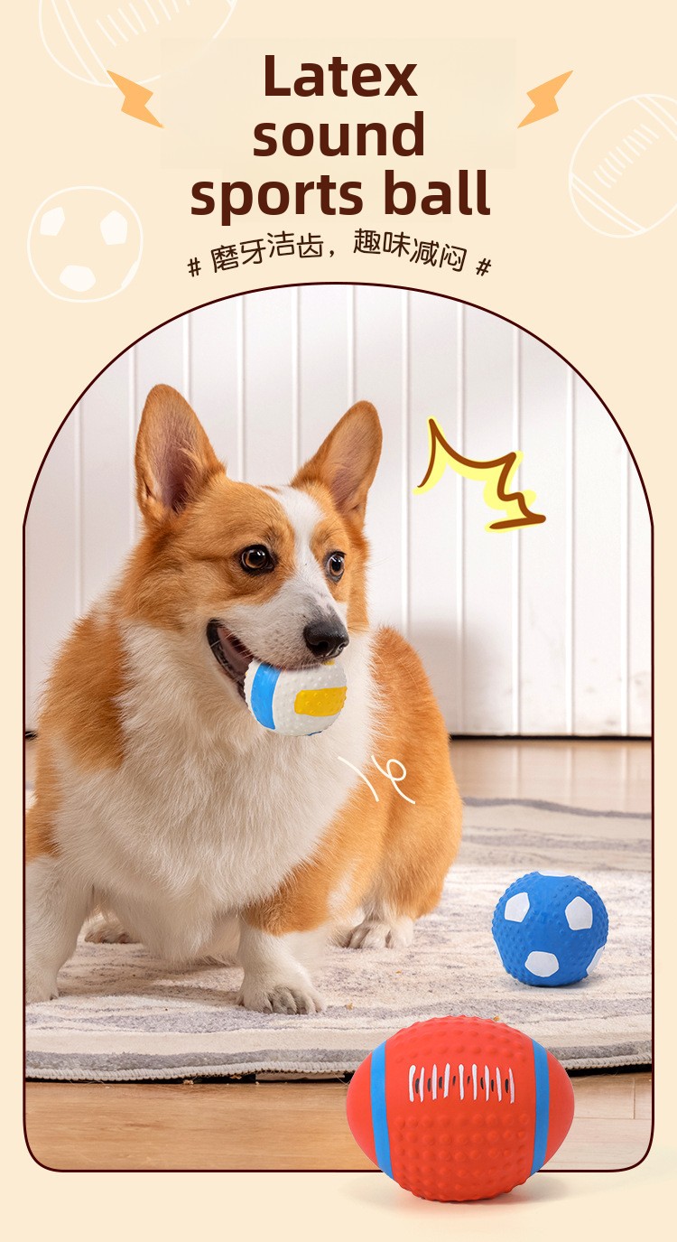 ZHAYA Pet Squeaky Interactive  - đánh giá và giá Rugby Training Ball