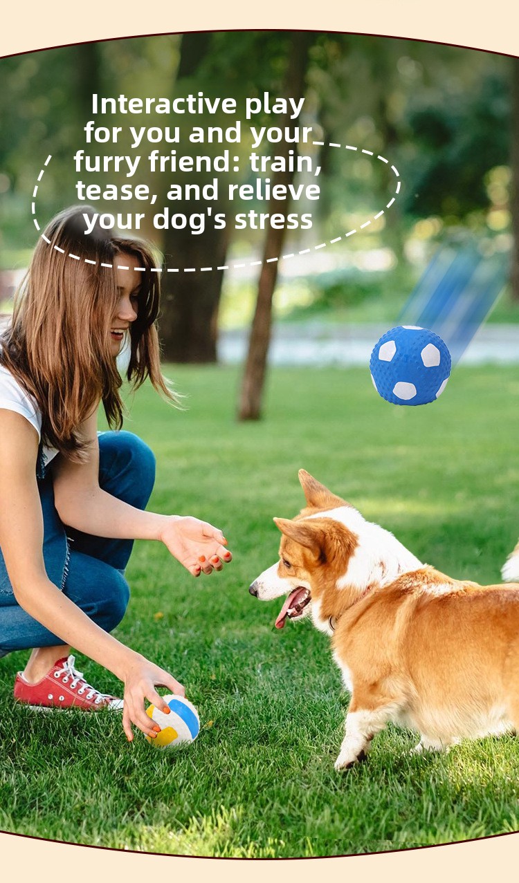 ZHAYA Pet Squeaky Interactive  - đánh giá và giá Rugby Training Ball