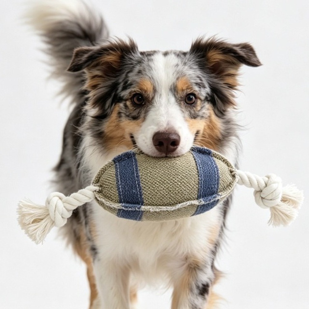Bite Resistant Dog Chew Rugby  - đánh giá và giá Rugby Training Ball